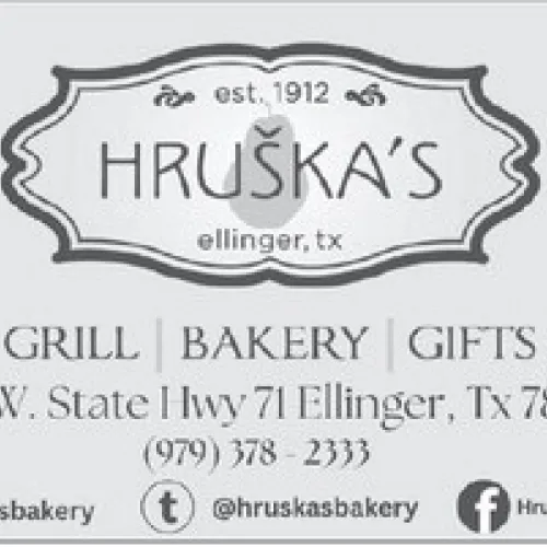 Alt Text for Image